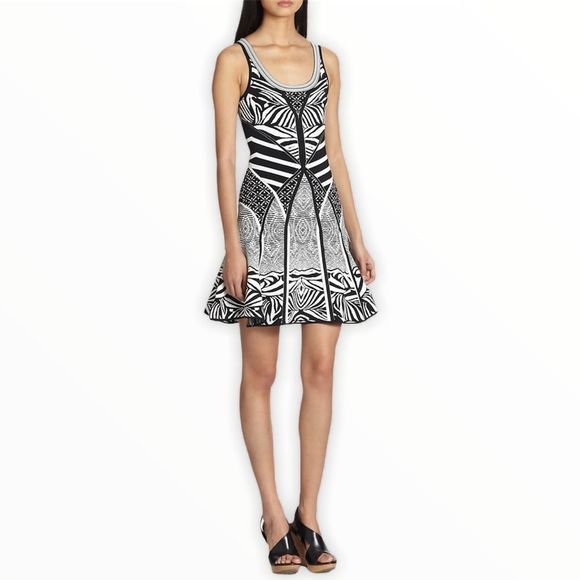 Diane Von Furstenberg Fanny Zebra Knit Dress - Picture 1 of 16